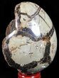 Septarian Dragon Egg Geode - Black Crystals #57394-2